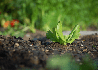 advogados especializados de escritório de advocacia direito ambiental em belo horizonte minas gerais