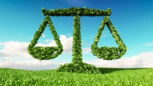 Destaques das Decisões do STF sobre Meio Ambiente