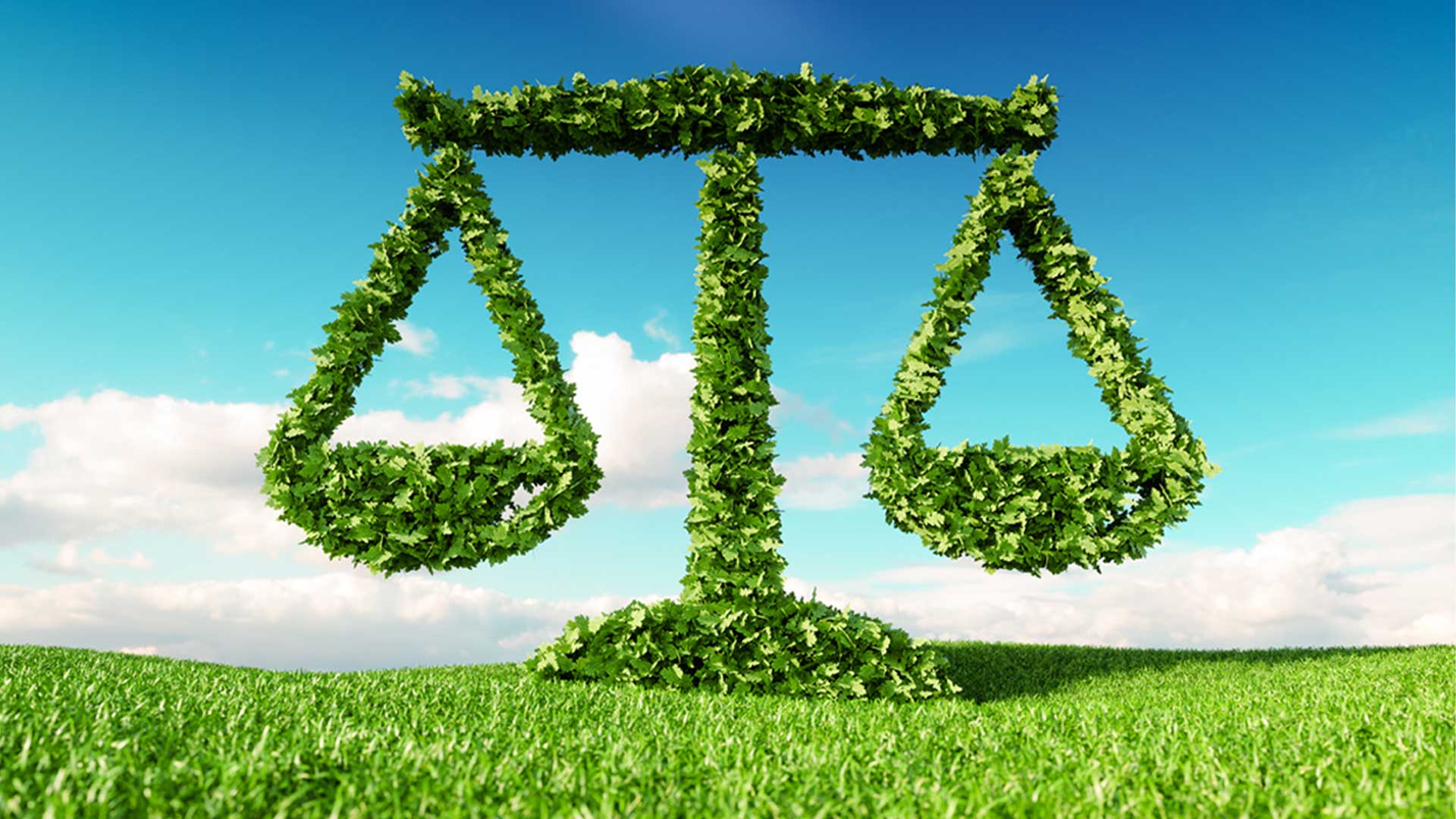 Destaques das Decisões do STF sobre Meio Ambiente